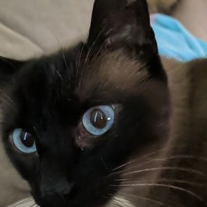 Meet your Posher, Logan